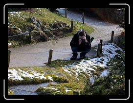 P.idf.seb 114 * 640 x 480 * (57KB)